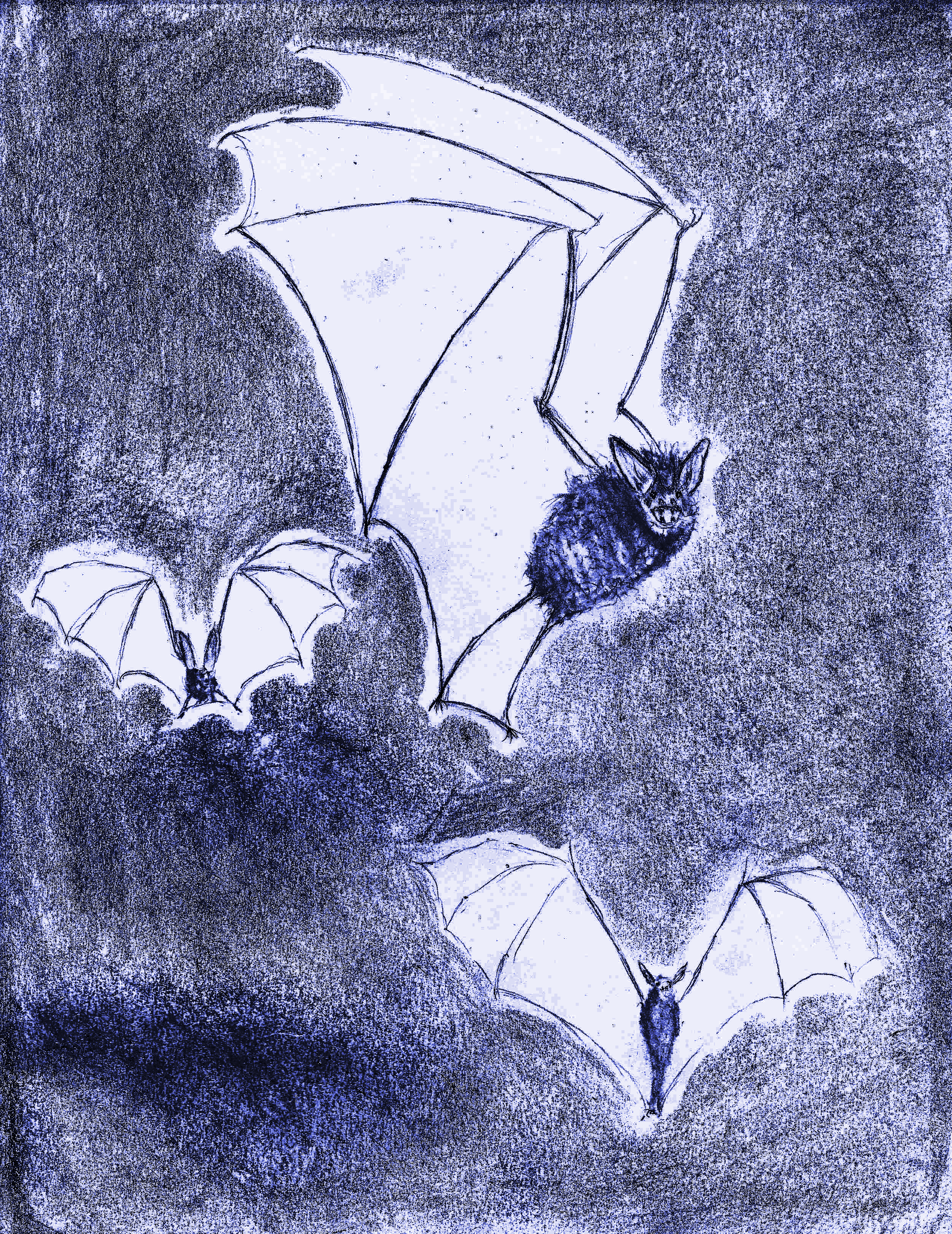 A group of blood draining bats attacks your party.