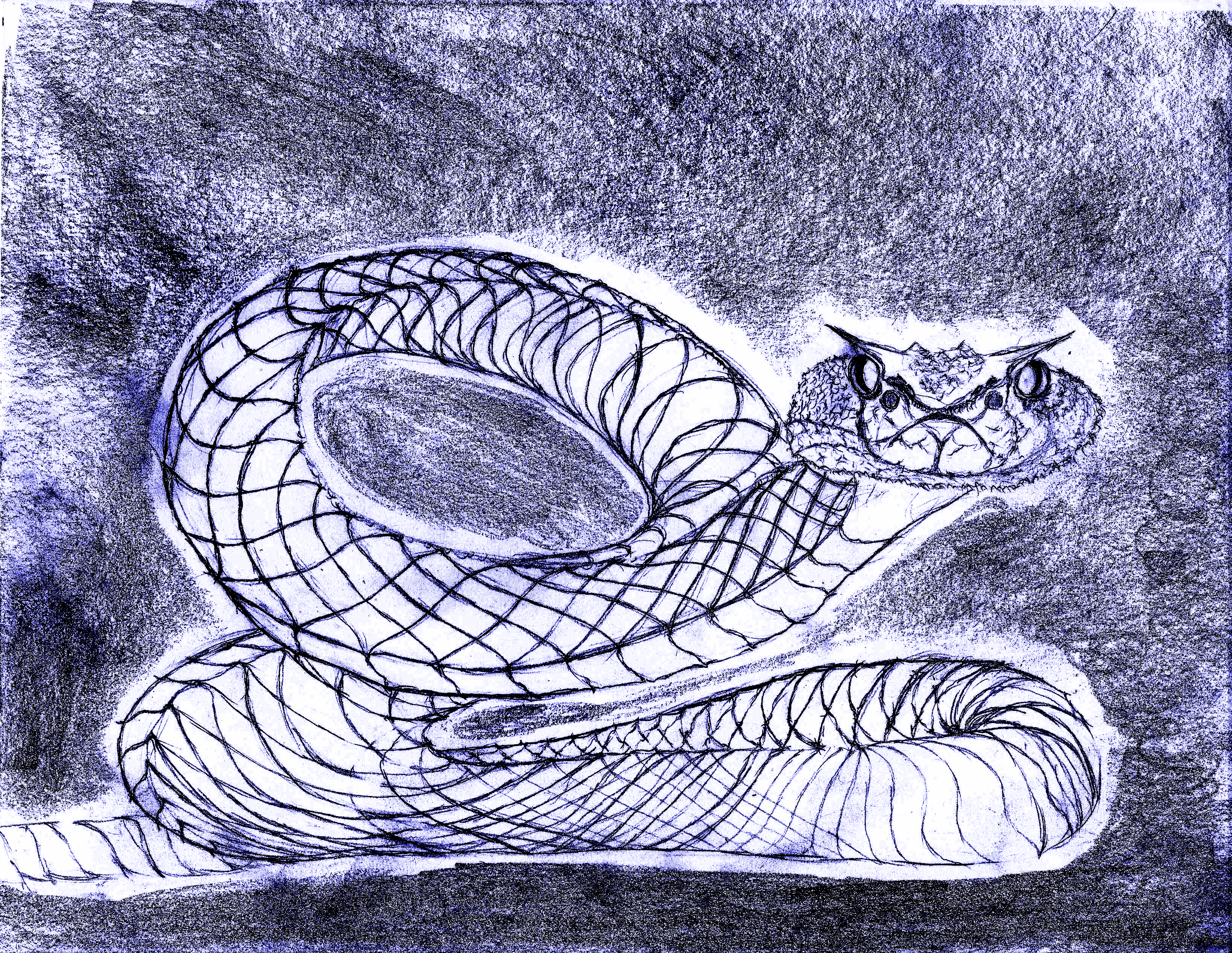You're attacked by a massive snake, you feel dizzy as you keep track of its puzzling movements.